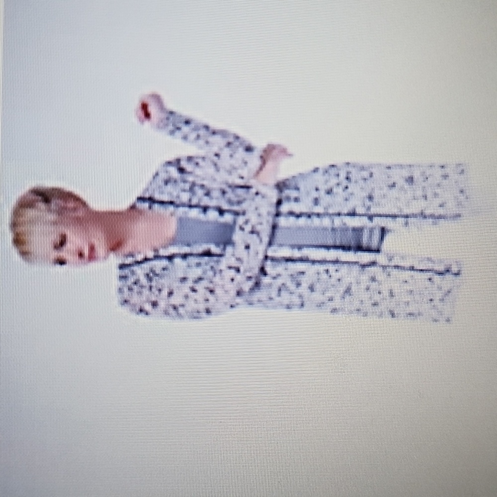 LOGO by Lori Goldstein Animal Print Sheer Mesh Cardigan
